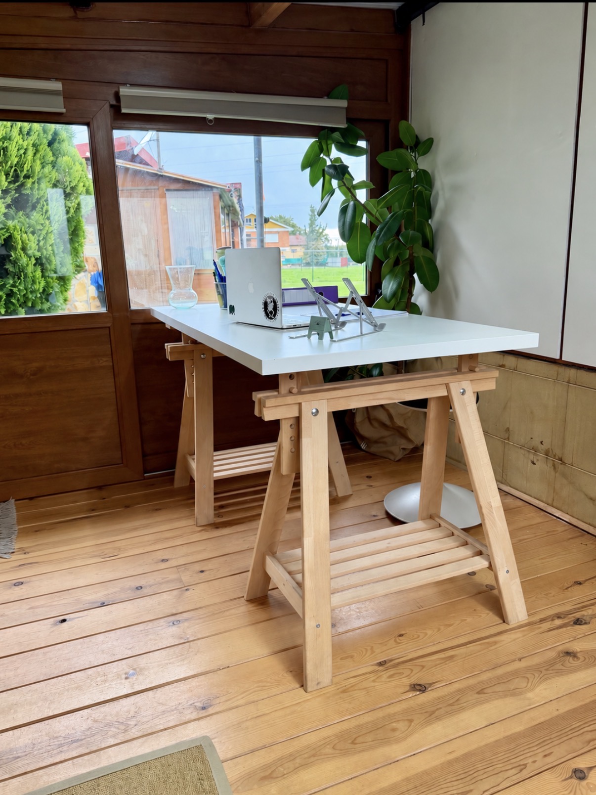 Mesa de la consulta de SAC Nutrición, junto a una ventana con luz natural y plantas